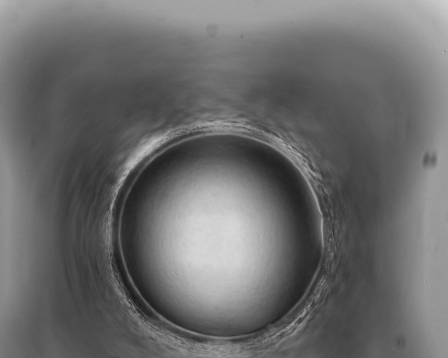 X0000095510008200712211250