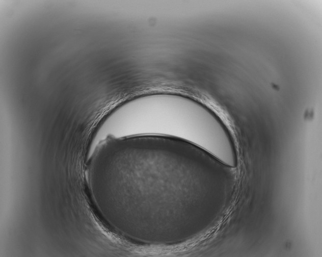 X0000095510009200712211250