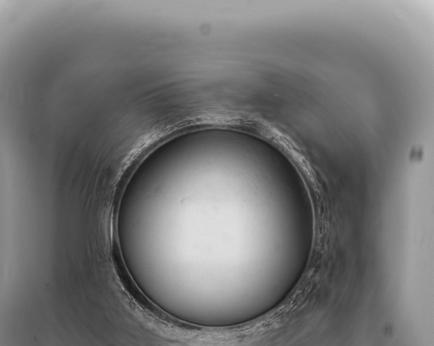 X0000095510011200712211250