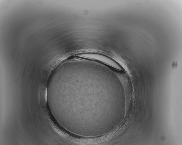 X0000095510013200712211250