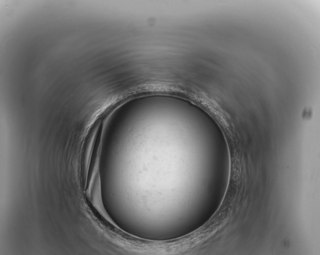 X0000095510015200712211250