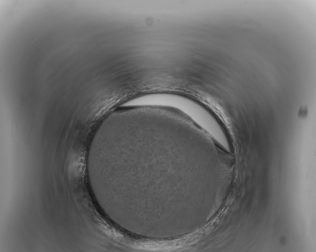 X0000095510017200712211250