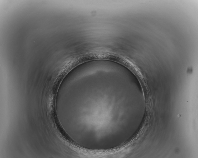 X0000095510018200712211250