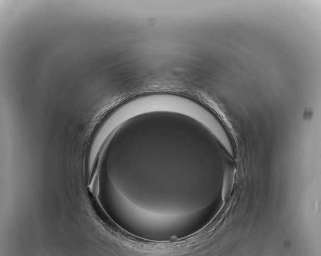 X0000095510019200712211250