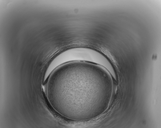 X0000095510021200712211250