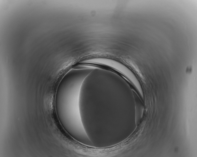 X0000095510023200712211250