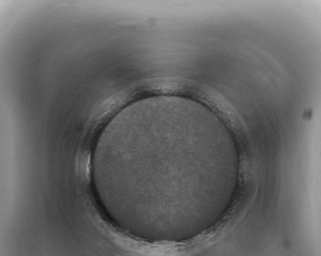 X0000095510024200712211250