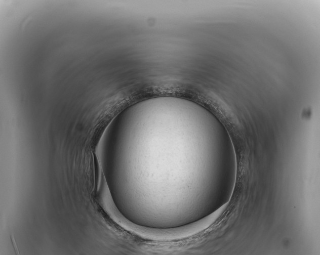X0000095510025200712211250