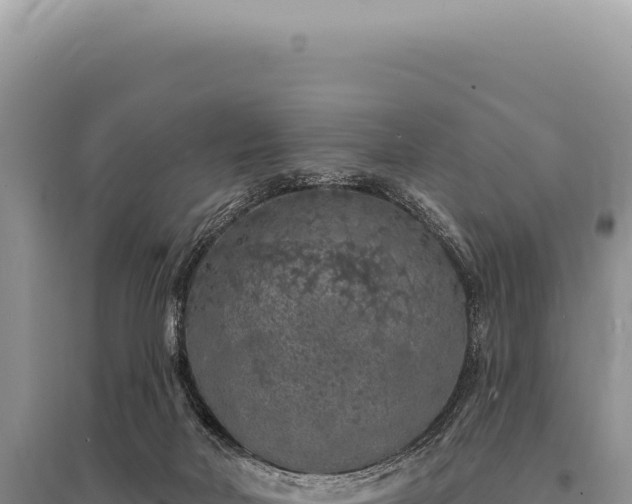 X0000095510026200712211250