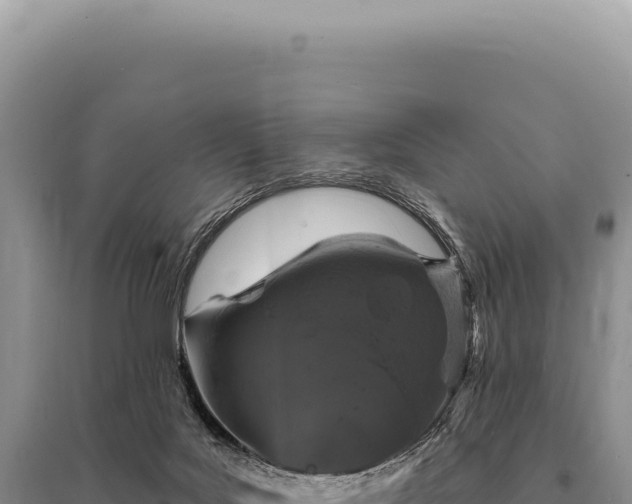X0000095510027200712211250