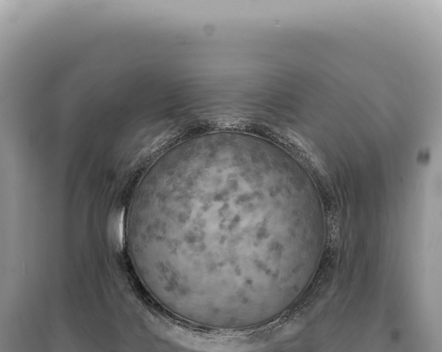 X0000095510028200712211250