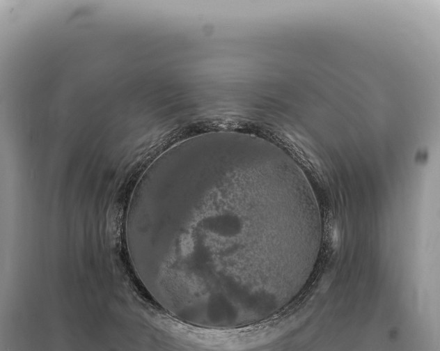 X0000095510030200712211250