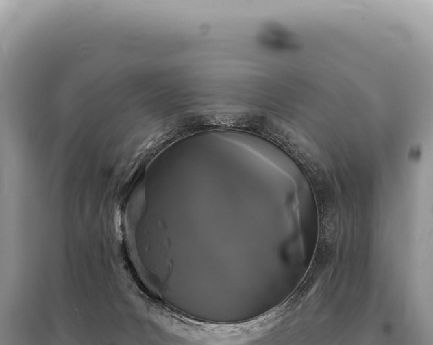 X0000095510031200712211250