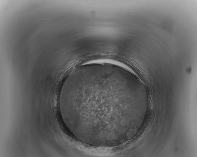 X0000095510032200712211250