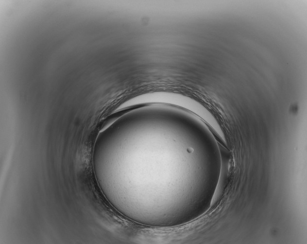 X0000095510033200712211250