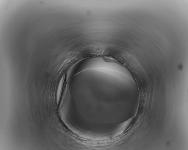 X0000095510035200712211250