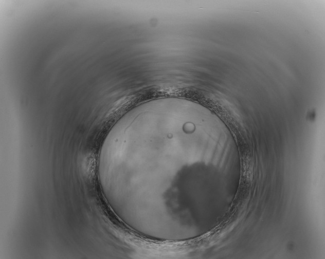 X0000095510036200712211250