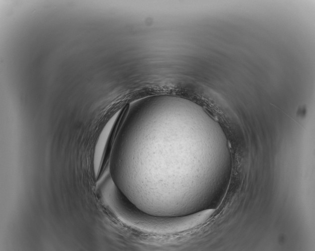 X0000095510037200712211250
