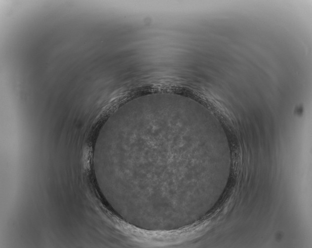 X0000095510038200712211250