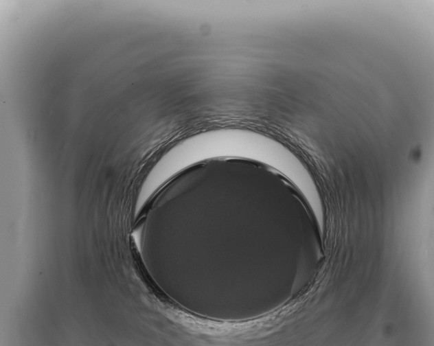 X0000095510039200712211250