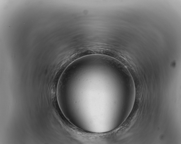 X0000095510040200712211250