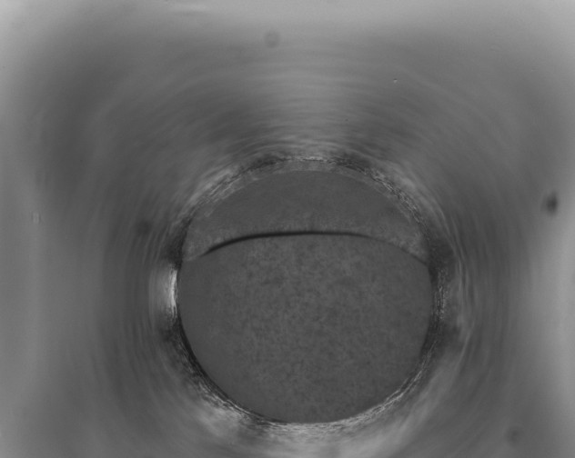 X0000095510041200712211250