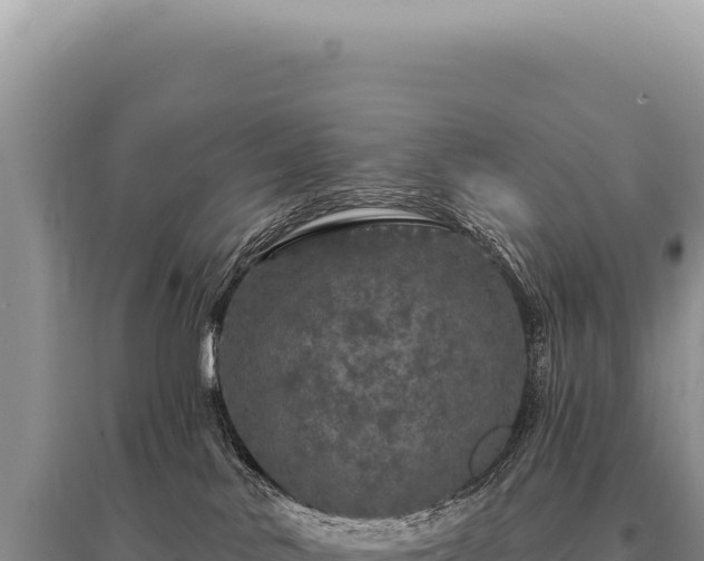 X0000095510042200712211250