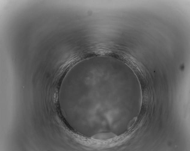 X0000095510043200712211250