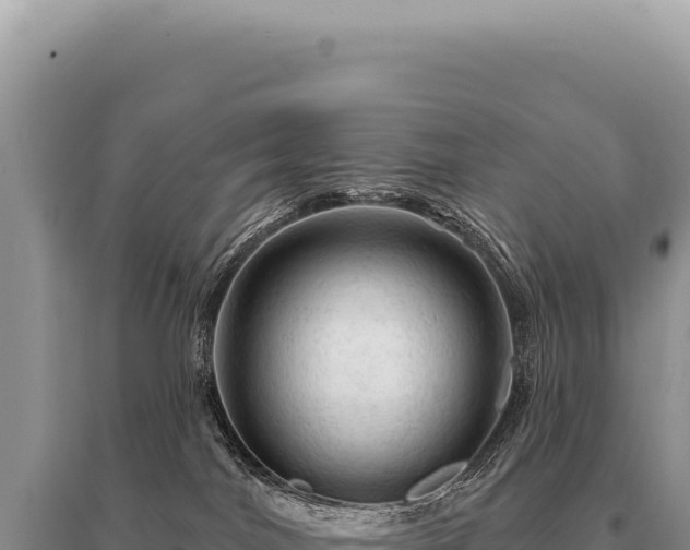 X0000095510044200712211250