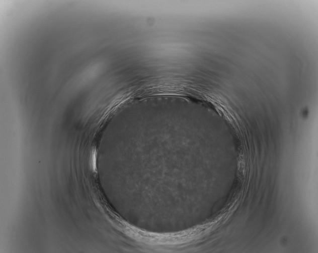 X0000095510046200712211249