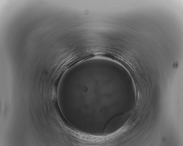 X0000095510048200712211249
