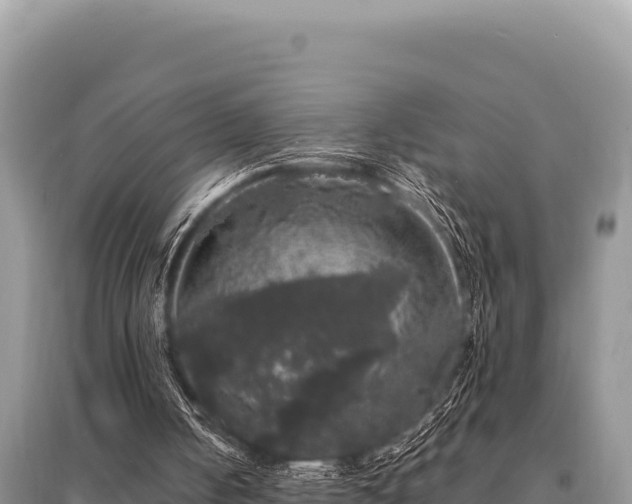 X0000095510050200712211249