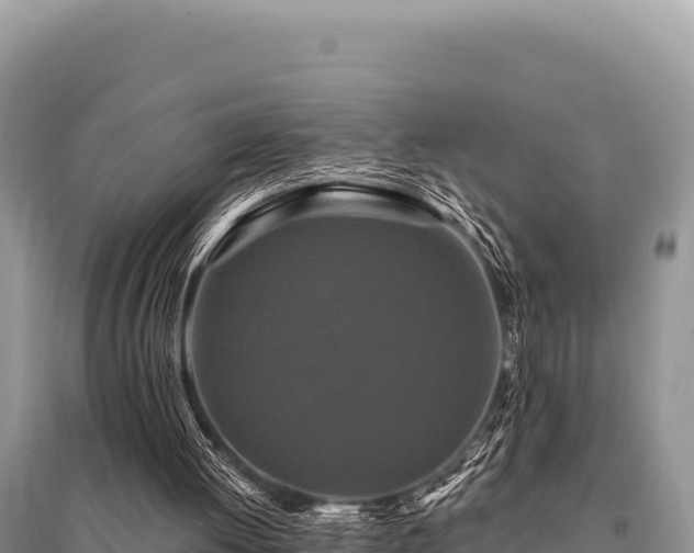 X0000095510052200712211249