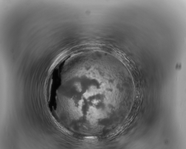 X0000095510053200712211249