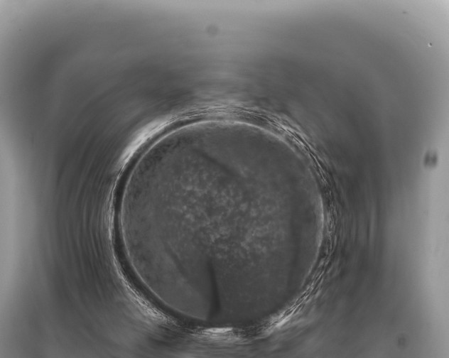 X0000095510054200712211249