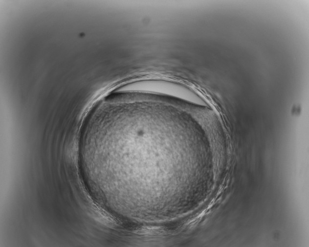 X0000095510055200712211249