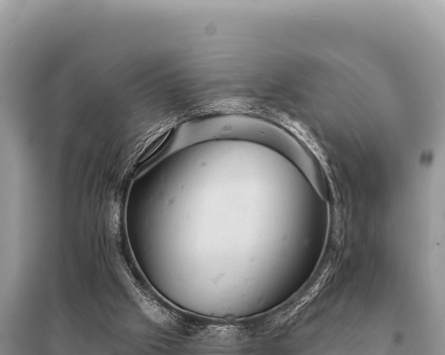 X0000095510057200712211249
