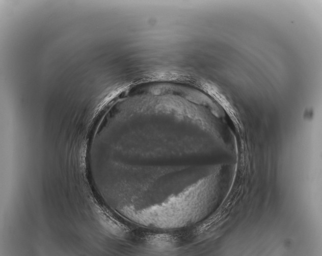 X0000095510058200712211249