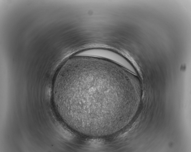 X0000095510063200712211249