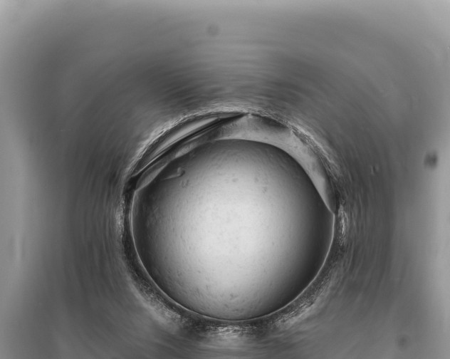 X0000095510064200712211249