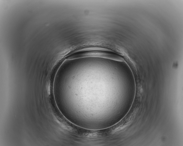 X0000095510068200712211249