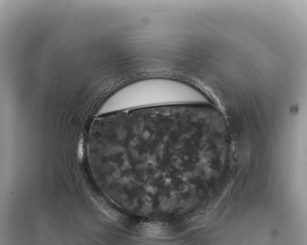 X0000095510069200712211249