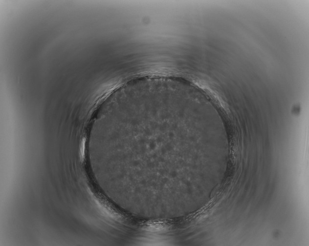 X0000095510070200712211249