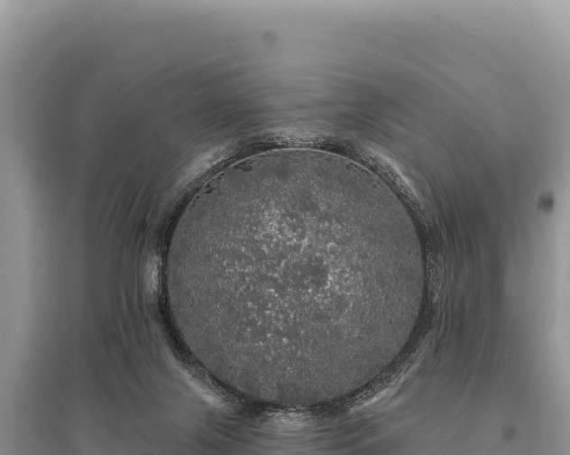 X0000095510071200712211249
