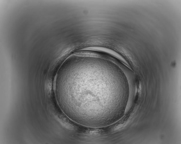 X0000095510072200712211249