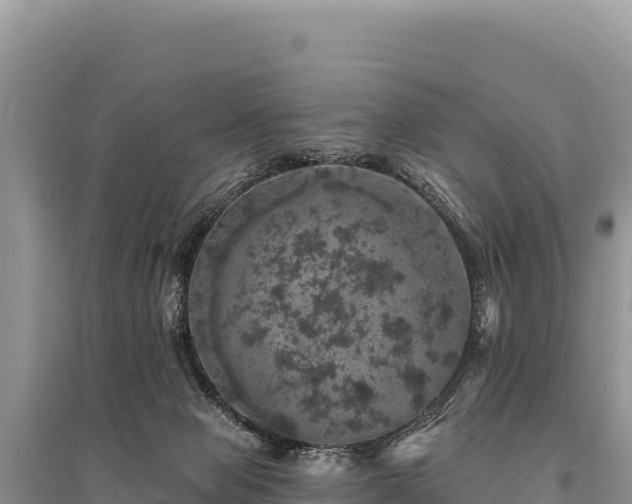 X0000095510077200712211249
