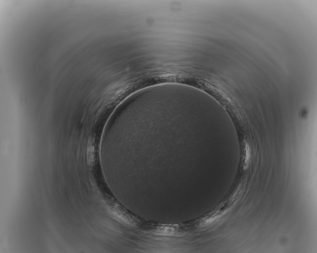 X0000095510080200712211249