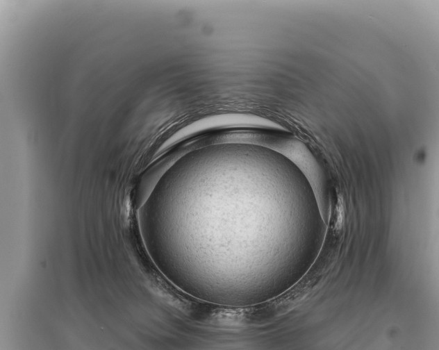 X0000095510084200712211249