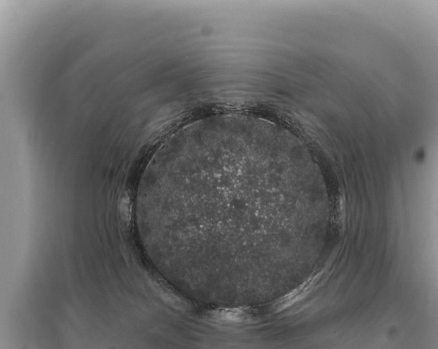 X0000095510086200712211249