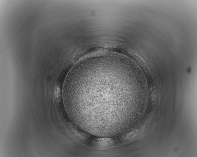 X0000095510087200712211249